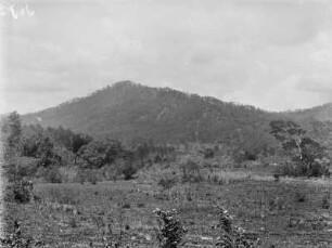 Gebirgslandschaft : Vegetationslandschaft eines Gebirges
