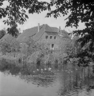 Häuser an einem Teich in Dölitz
