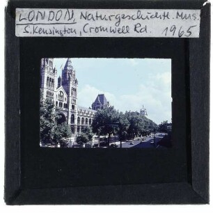London, Naturhistorisches Museum