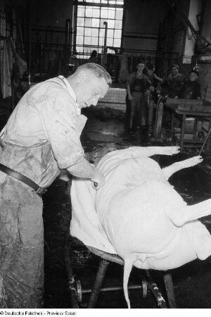Arbeiter beim Häuten eines Schweins