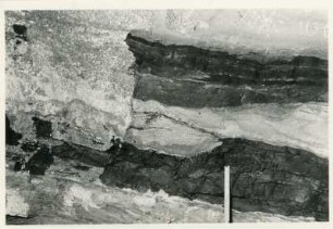 Dresden-Gittersee. Grubenfeld Gittersee. 2. Sohle. Flöz