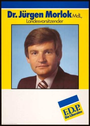 FDP, Landtagswahl 1980