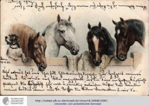 Postkarte vom 15.11.1904
