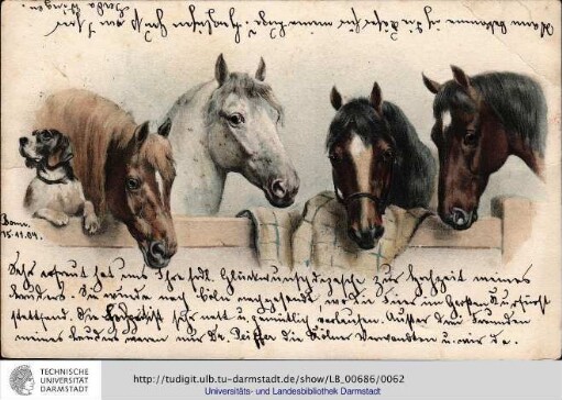 Postkarte vom 15.11.1904
