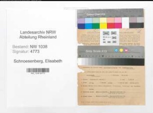 Entnazifizierung Elisabeth Schnoesenberg , geb. 17.05.1906 (Sachbearbeiterin)