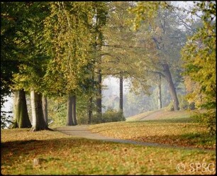 Potsdam, Neuer Garten, Parkansicht im Herbst, im Hintergrund Rotes Haus?