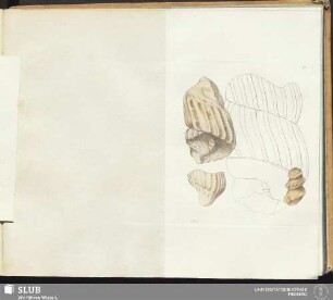 75.