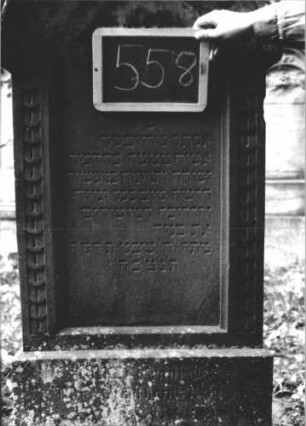 Grabstein 558 (Index: 99895420) Material: Sandstein Zustand: gut, Sockel stärker bewachsen Maße HxBxT: 154x55x20 cm Beschreibung: Stele mit Rundbogenabschluss und kleiner Verdachung; Sockel Symbolik: Blüte: Grabstein 558 (2)