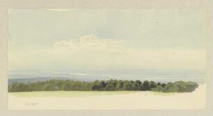 Blick beim Jagdschloss Platte über den Rheingau