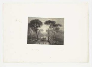 Landschaft mit Bäumen, Blatt 13 der Folge "Werke"