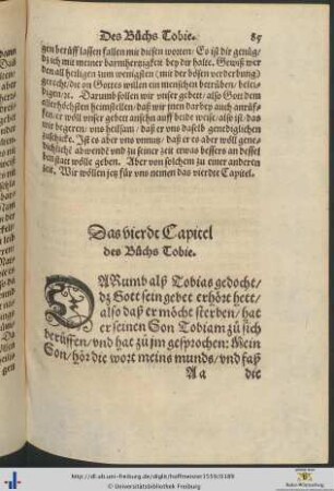 Das vierdt Capitel