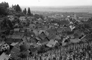 Varnhalt: Blick vom Weinberg auf den Ort