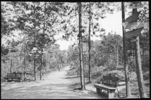 Radebeul. Lößnitzgrund