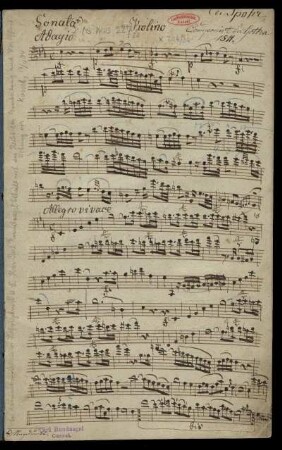 Violine
