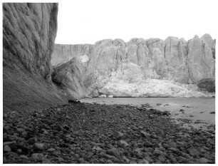 Guly-Gletscher in der Magdalenen-Bay von Spitzbergen : Nordlandreisen. Guly-Gletscher in der Magdalenen-Bay von Spitzbergen
