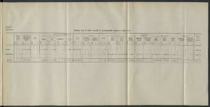 Belastung durch die Unfälle innerhalb der Zweiganstalt während des Jahres 1916.