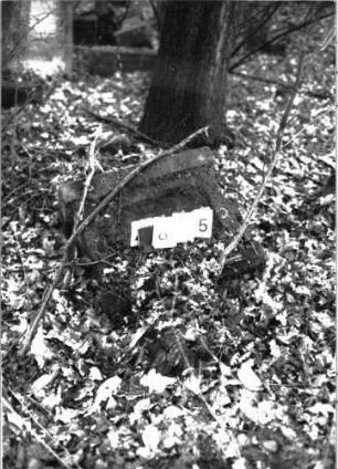 Grabstein 855