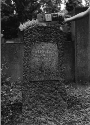 Grabstein 1906 [Hahn S. 209 Grab-Nr. 2761]