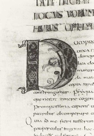 Egino-Codex, Seromonos des Rather von Verona, Initiale D Flechtwerk mit Vogelkopf