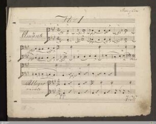 Violoncello und Kontrabass