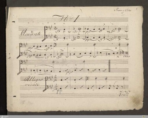 Violoncello und Kontrabass