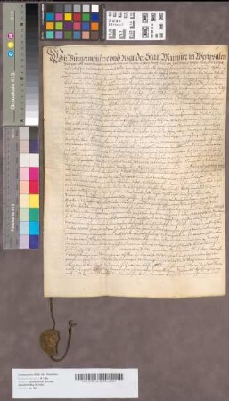 Documentum silentii in betref der Witwe Joan Vifhues discutirte Behausung.