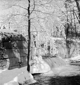 Mühlenteich: Wehr mit Überlauf: vorn links Baum mit Raureif: Winter