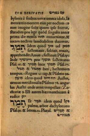 Dictionarium Hebraicum