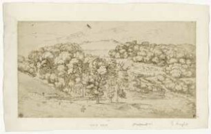 Hügelige Landschaft