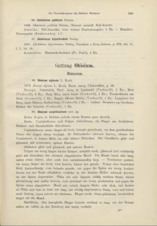 Gattung Obisium