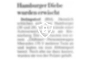 Hamburger Diebe wurden erwischt