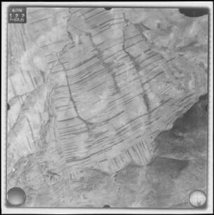 Aufnahme 024