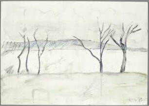 Ohne Titel [Bäume im Winter]