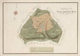 Topographischer Plan von dem Scheelbronner Bann