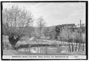 Sommerheim Zocher Nikolsdorf Ruf Königstein Nr. 169