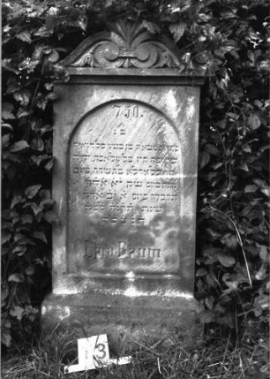 Grabstein 13 (Index: 99891846) Material: Sandstein Zustand: gut Maße HxBxT: 132x59x16 cm Beschreibung: rechteckige Stele mit Mittelakroter Symbolik: grobe Palmette im Mittelakroter: Grabstein 13