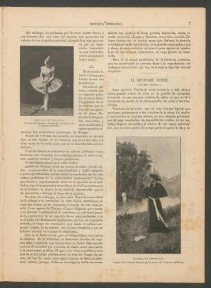 El diputado verde : (Silueta criolla)