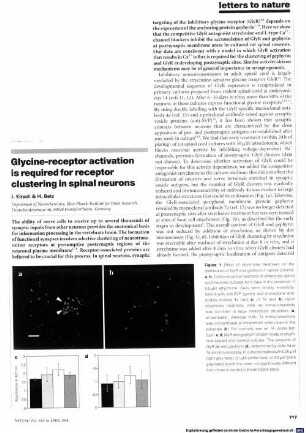 Glycine-receptor activation is required for receptor clustering in spinal neurons