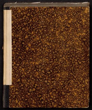 Dissertatio Inavgvralis Chirvrgico-Medica De Vstione Cranii In Epilepsia
