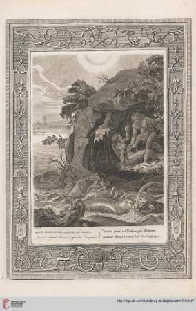 XXIX: Proteus