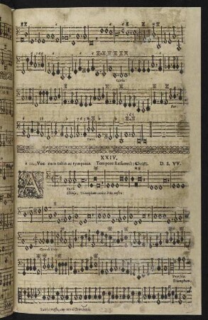 XXIV. Alleluja Triumphum canite Deo nostro