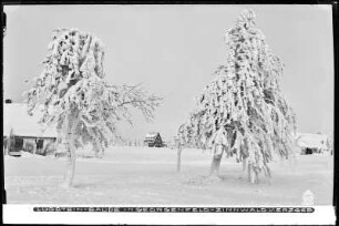 Zinnwald-Georgenfeld im Erzgebirge, Lugstein-Baude im Winter