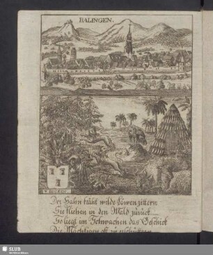 Balingen. v. Bucken