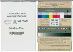Entnazifizierung Peter Schnitzler , geb. 30.05.1901 (Polier)
