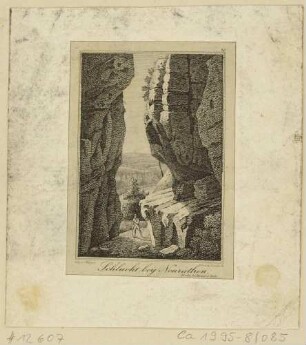Felsenschlucht bei Neurathen in der Sächsischen Schweiz