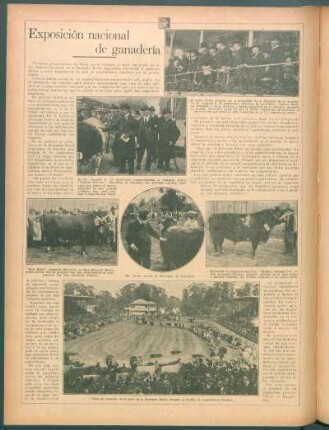 Exposición nacional de ganadería