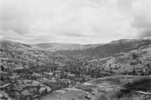 Waldreste des Alila-Hochtals (Äthiopienreise 1937/1938 - 3. Fahrt: von Addis Abeba nach Mogadischu und zurück)