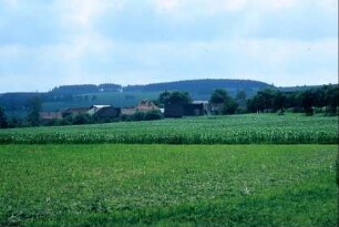 Blick auf den Ort und seine Umgebung