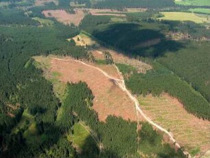 Langewiesen : Windbruch