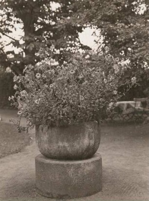 Taufe : Taufe aus der Dorfkirche Zöschau. Granit; Durchmesser 75 cm, 12. Jh. Zöschau (Oschatz-Zöschau), Garten des Rittergutes